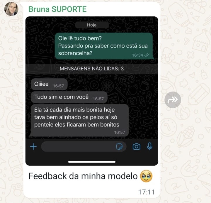 Feedback modelo de cliente